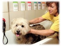 Anwendungen, Therapien, Wellness (z.B. Thalasso, Aroma, Farben)