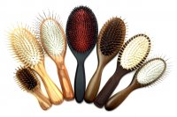 pet beauty exclusive