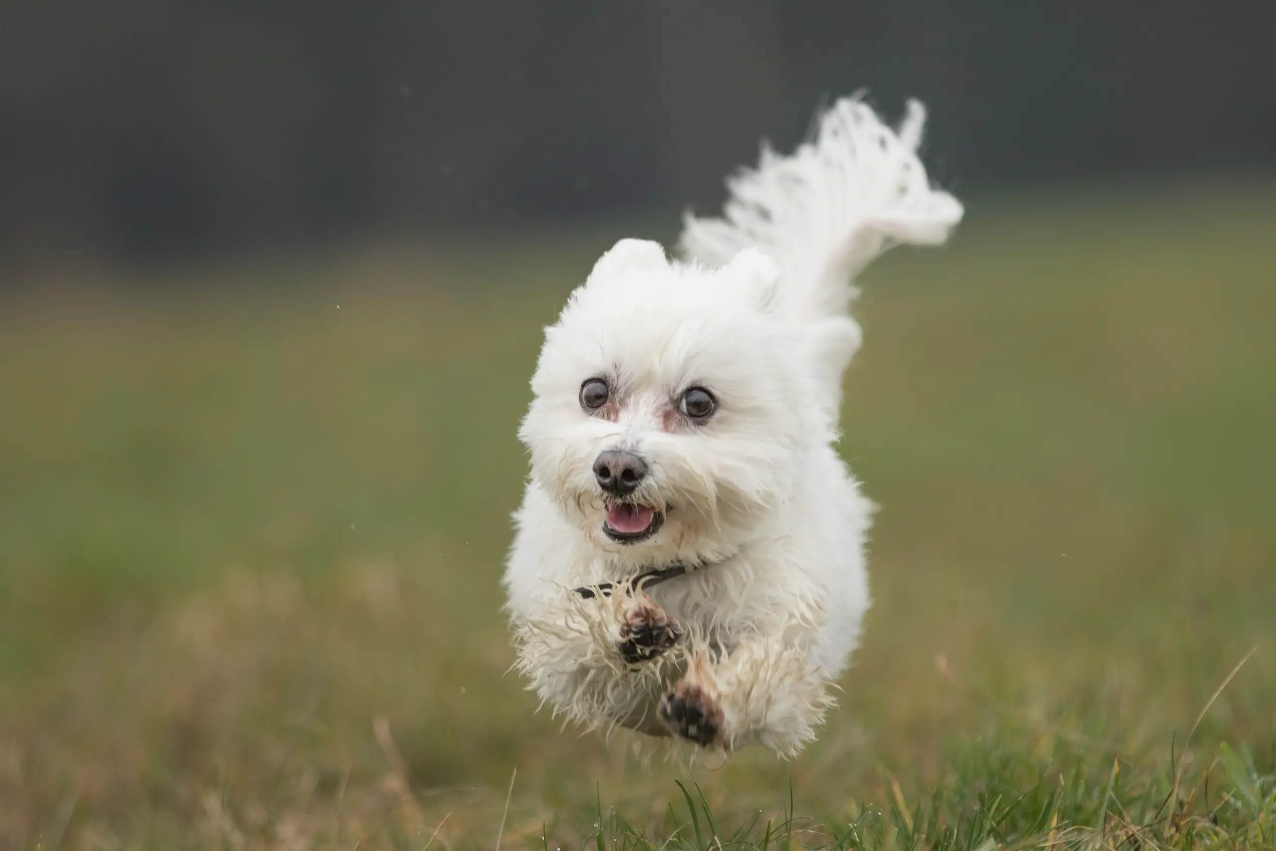 Nervensystem & Stress