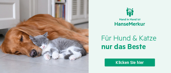 Top KV-Schutz für Vierbeiner, unsere neue Tierkranken-Versicherung. Top KV-Schutz für Vierbeiner, unsere neue Tierkranken-Versicherung.