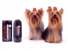 Professional Charcoal Conditioner 1000ml abgef�llt | exklusiver Holzkohle Conditioner f�r Hunde und Katzen