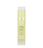 Anti-Insekten-Shampoo mit Neem und Teebaum�l | 250ml | Yuup!-Home