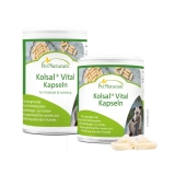 Per Naturam Kolsal� Vital Kapseln | 100 St�ck