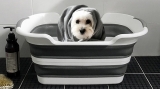 Faltbare Hundebadewanne mit Abfluss | grau-wei�