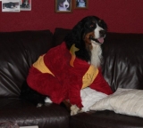 Bademantel | exklusive Badem�ntel f�r Hunde