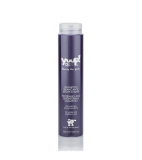 Shampoo f�r helles Haar | 250ml | Yuup!-Home